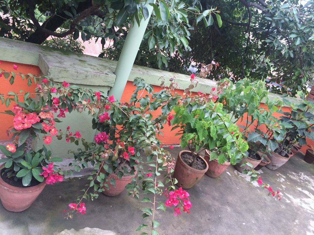 Hotel Backpackers Inn Kathmandu Exterior photo